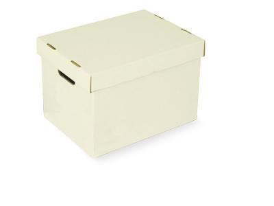 Archive Boxes - Economy. Ext H267xW290xD387mm White. 10kg Capacity (Pack of 20)