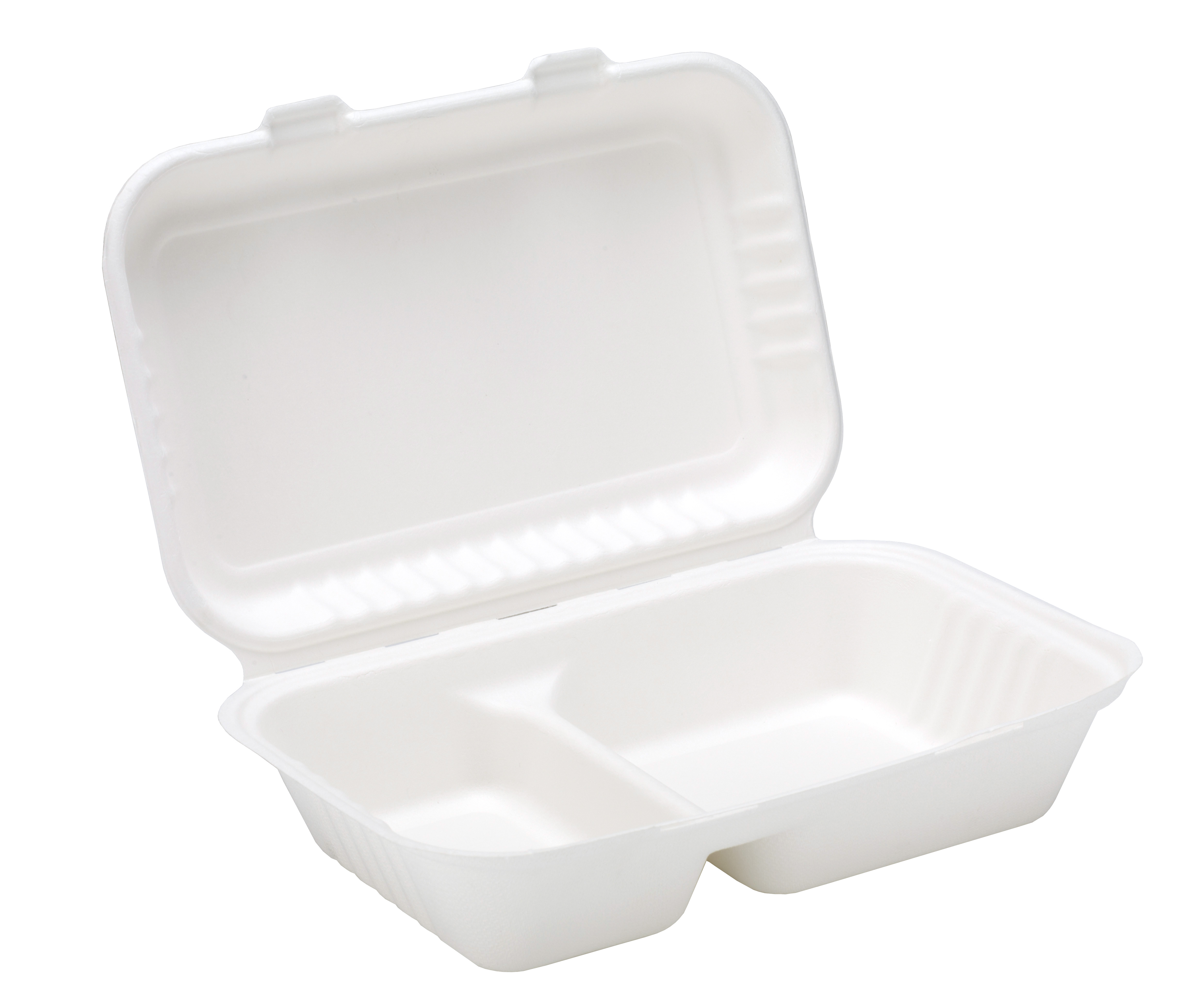 Bagasse Lunch Box 9x6 2 Compartment Pack 250