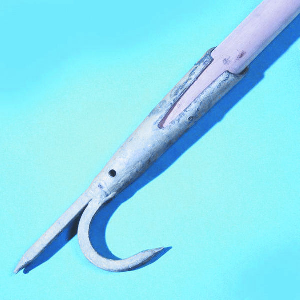 ebuy Craig International Boat Hook 3M